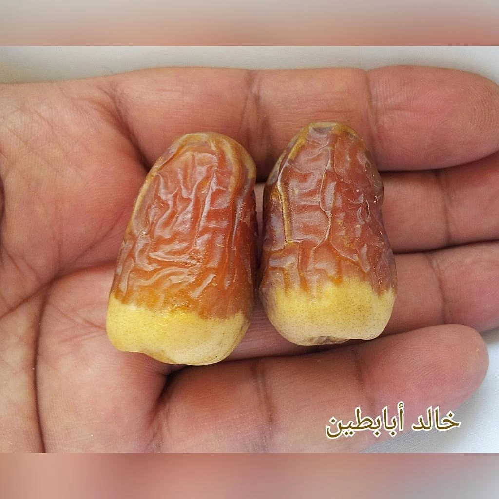 Halwani bros maamoul fine dates filled cookies 17gm