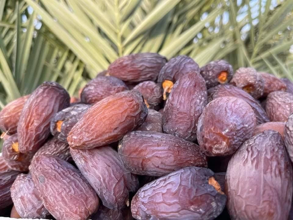 MEDJOOL DATES	Brand