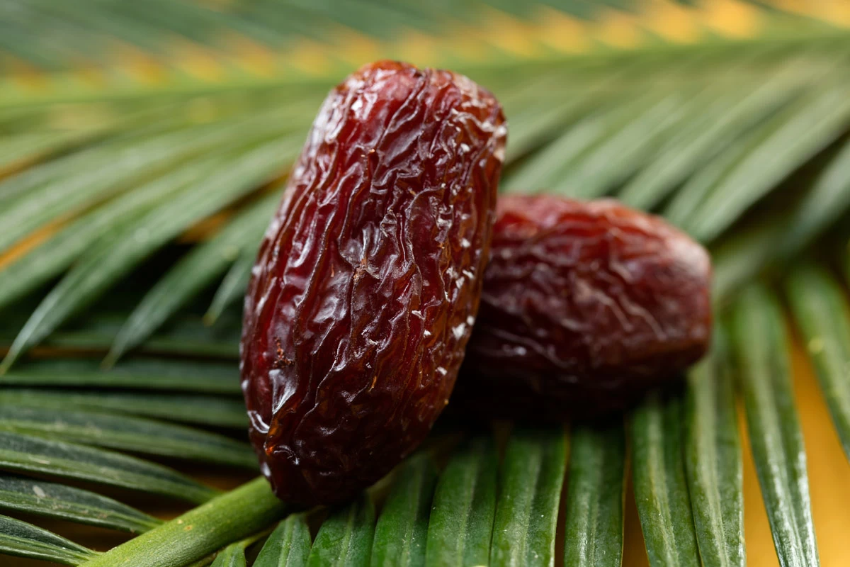 Why bulk medjool dates export is a Lucrative Opportunity