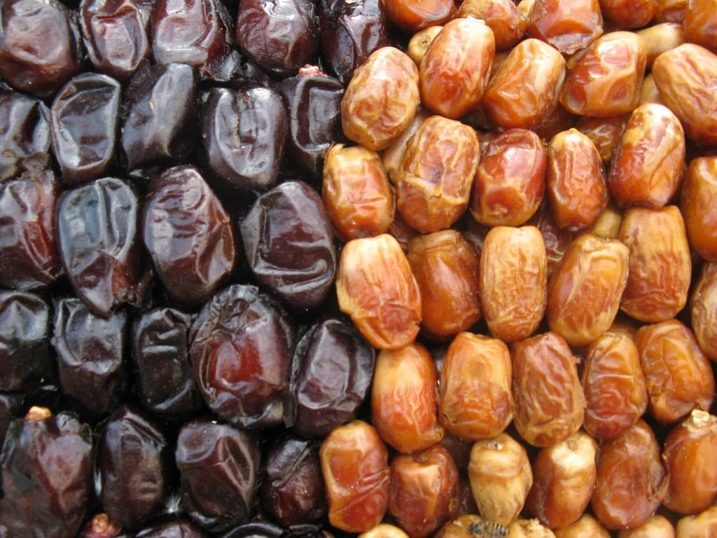 dates export company in egypt: Leading Global Markets with Premium Dates