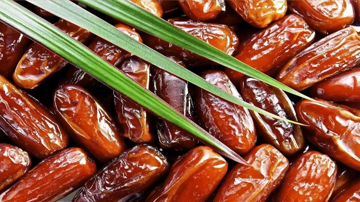 export quality dates: Delivering Premium Egyptian Dates to Global Markets