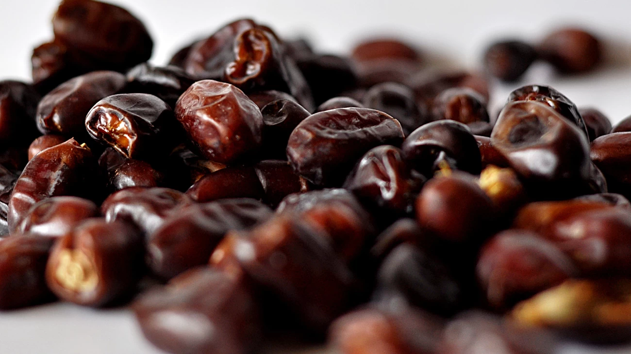 top dates fruit suppliers for high-quality global sourcing