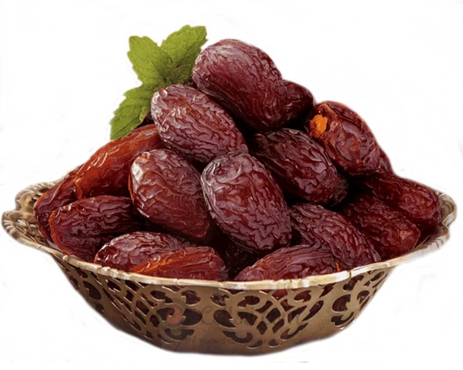 kindadates: your trusted premium dates supplier for global markets