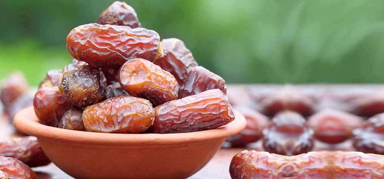 kindadates: leading wholesale dates suppliers for quality and freshness